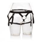 Her Royal Harness Duchess Black Boxed Sex Toy Product