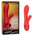 California Dreaming Palisades Passion Sex Toy Product