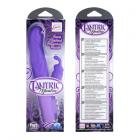 Tantric Mantra Purple