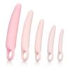Inspire Silicone Dilator Kit Pink Sex Toy Product Image 2