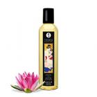Shunga Massage Oil Sweet Lotus Amour 8.4oz Sex Toy Product