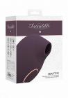 Irresistible Seductive Purple Vibrator Sex Toy Product