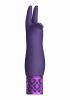 Royal Gems Elegance Purple Rechargeable Silicone Bullet Sex Toy Product Image 1