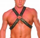 MenS Top Harness Large