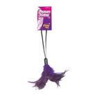 Pleasure Feather Violet