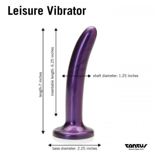 Leisure Vibrating Midnight Purple Sex Toy Product