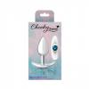 Cheeky Charms Butt Plug Set Clear/ Teal Sex Toy Product Image 2