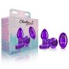 Cheeky Charms Vibrating Metal Plug Purple Small W/ Remote Sex Toy Product Image 4