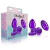 Cheeky Charms Vibrating Metal Plug Purple Medium W/ Remote Sex Toy Product Image 1