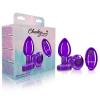 Cheeky Charms Vibrating Metal Plug Purple Medium W/ Remote Sex Toy Product Image 2