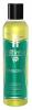 Massage Oil Intimo Eucalyptus 8Oz