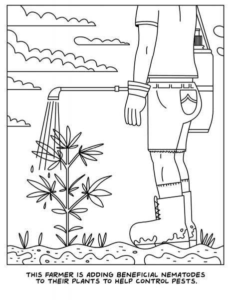 A Visit To The Cannabis Farm Coloring Book (net) Sex Toy Product