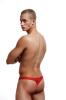 Envy Low Rise Thong Red L/xl Sex Toy Product Image 2