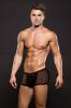 Envy Modern Fishnet Trunk Black L/xl Sex Toy Product Image 2