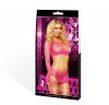 Lapdance Industrial Net Top & Mini Pink Sex Toy Product Image 4
