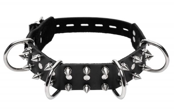Bad Dog Leash & Spiked Collar Kit