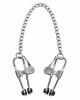 Intensity Nipple Press Clamps With Chain Metal Silver Sex Toy Product Image 1