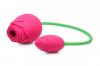 Bloomgasm Rose Duet Sucking Rose & Rosette Sex Toy Product Image 3