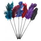 Ostrich Feather Ticklers Display (assorted) Sex Toy Product