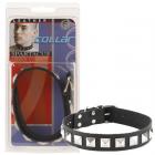 Leather Collar 1 Inch With Assorted Studs Sex Toy Product