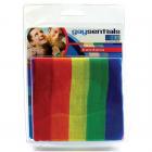 Gaysentials Rainbow Bandana Sex Toy Product
