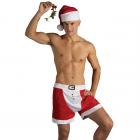 Sexy Mr Santa Costume O/S Sex Toy Product