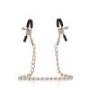 Adjustable Nipple Clamps On 14 Inches Chain Sex Toy Product Image 1