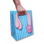 Floppy Pecker Gift Bag Sex Toy Product