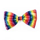 Rainbow Bowtie Sex Toy Product
