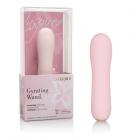 Inspire Gyrating Wand Sex Toy Product