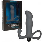 Optimale Vibrating P-massager Slate Sex Toy Product