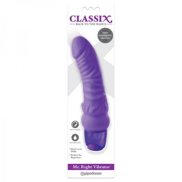 Classix Mr. Right Vibrator Purple Sex Toy Product