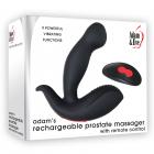 A&e Adam's Remote Control Prostate Massager 9 Functions Usb Rechargeable Silicone Waterproof Sex Toy Product