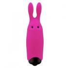 Lastic Pocket Vibe Pink Sex Toy Product