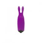 Lastic Pocket Vibe Purple Sex Toy Product