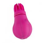 Caress Sex Toy Product