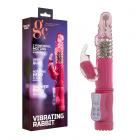 Gc Vibrating Rabbit Pink Sex Toy Product