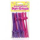 Super Fun Penis Party Straws Sex Toy Product
