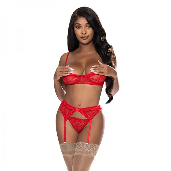 Magic Silk Ooh La Lace Demi Bra, Garter & Tanga Set Red L/xl Sex Toy Product