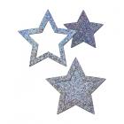 Pastease Peek-a-boob: Silver Glitter Star Frame & Center Nipple Pasties Sex Toy Product