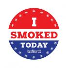 I Smoked Today Sticker 3-pack Sex Toy Product