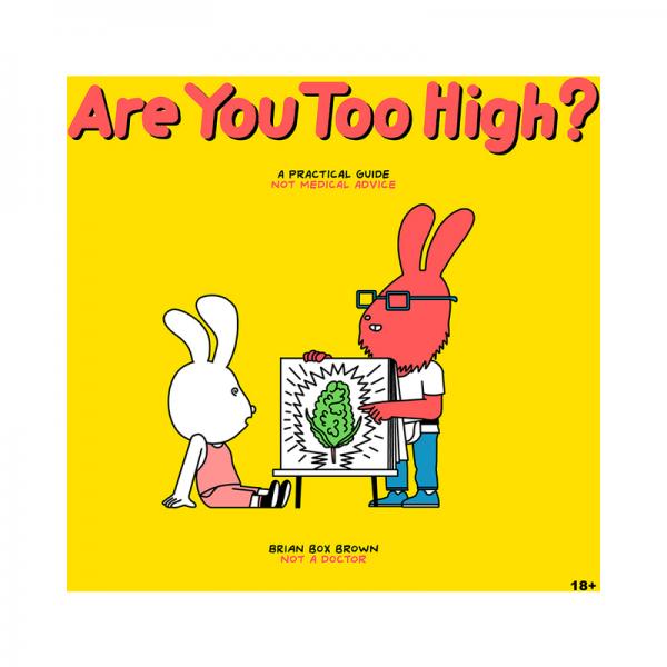Are You Too High? A Practical Guide Sex Toy Product
