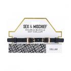 Sportsheets Sex & Mischief Double Buckle Day Collar Sex Toy Product