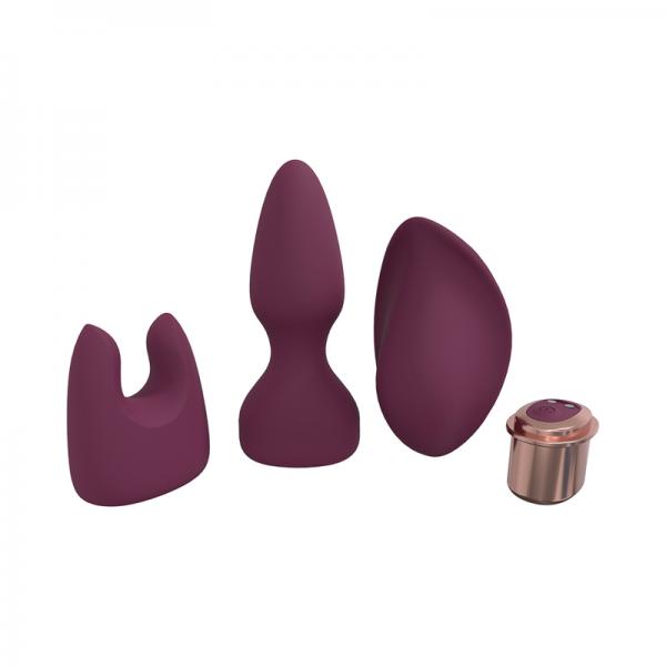 Loveline Ultimate Kit 10 Speed Silicone Rechargeable Waterproof Burgundy Sex Toy Product