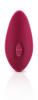 Bsoft Burgundy/Pink
