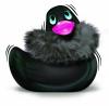 Rub My Duckie Paris Noir Travel Size