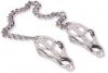 Clover Nipple Clamps 