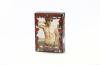 Playing Cards Evolved Male