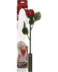 Romantic Rose Play Vibe Sex Toy Product