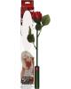 Romantic Rose Play Vibe